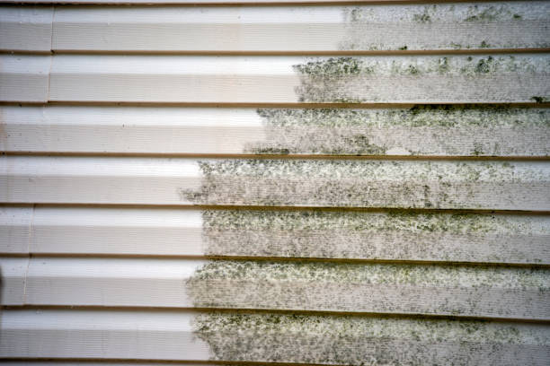 Best Construction Debris Removal  in Sunflower, MS